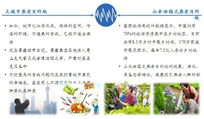 養(yǎng)老地產(chǎn)規(guī)劃咨詢(xún)